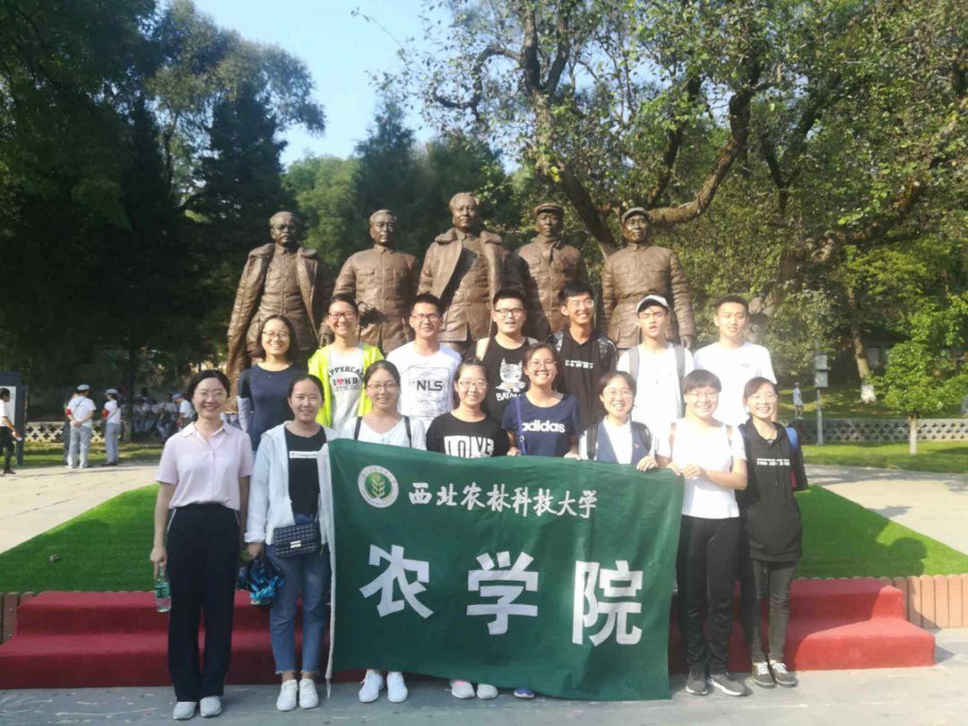 探索世界,一起问蜗牛——一味鼓励的教育,在孩子面对挫败时会有什么影响?问答平台